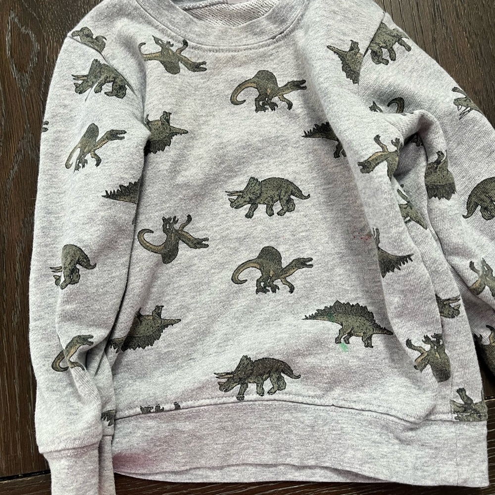 Carter's Gray Sweatshirt with Dinosaur Pattern